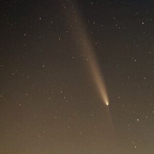 Meet your Posher Cyan